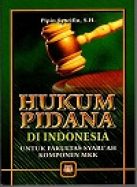 Image of Hukum pidana di indonesia