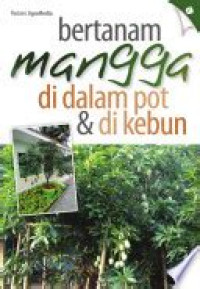 Image of Bertanam mangga di dalam pot dan di kebun